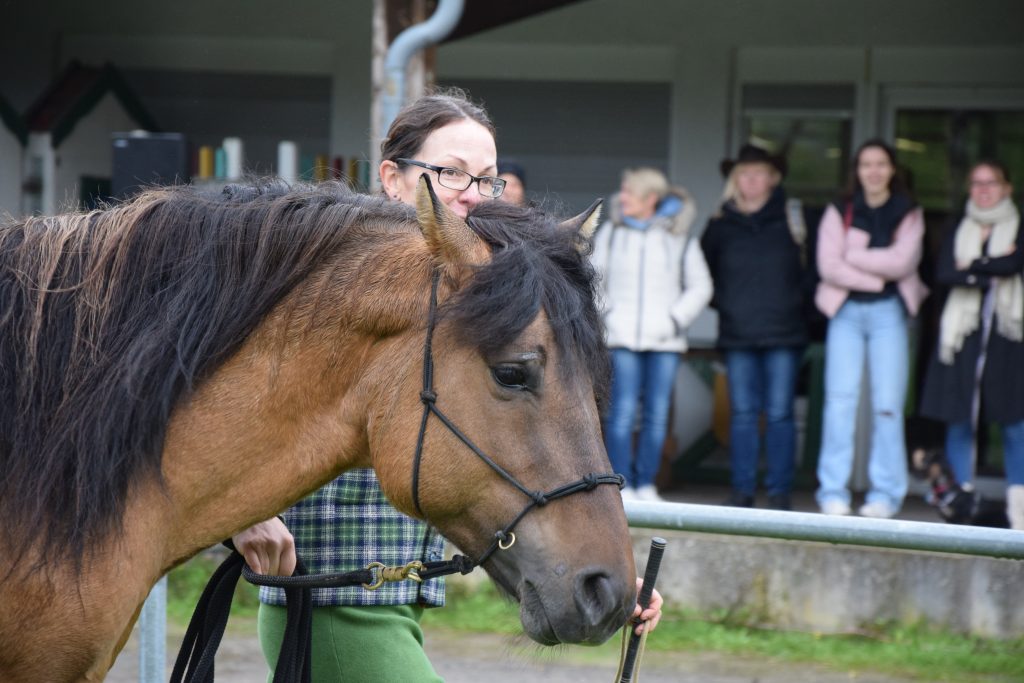 3D6B5D5C-79F3-495A-8219-E7CB826CD098