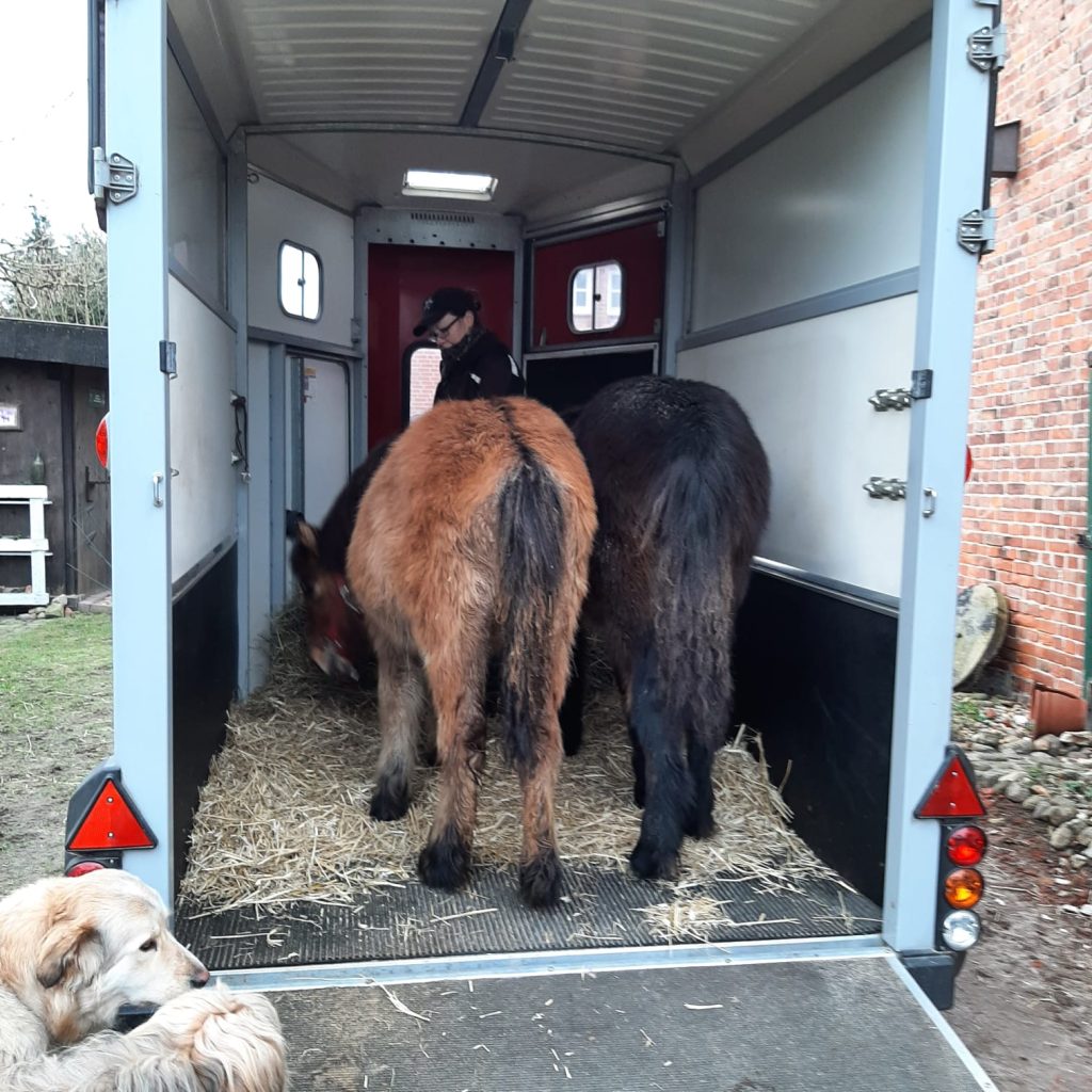 Einsteigen kein Problem