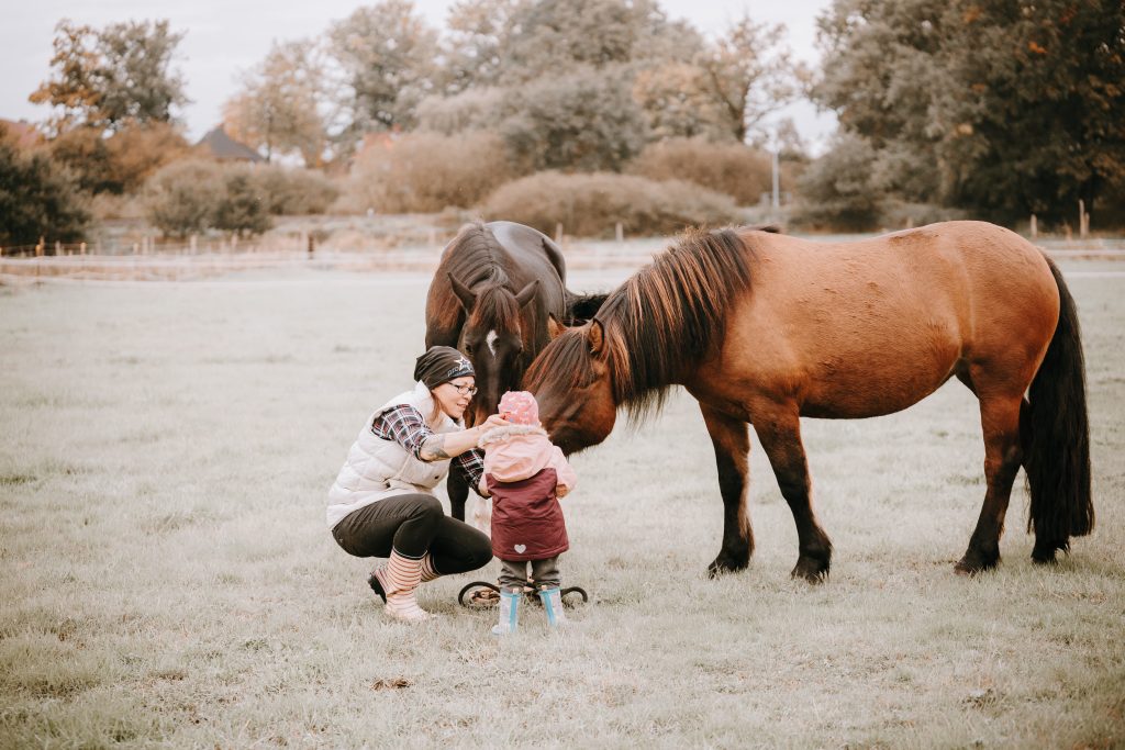 Behutsam werden selbst die Kleinsten an die Ponys herangeführt.