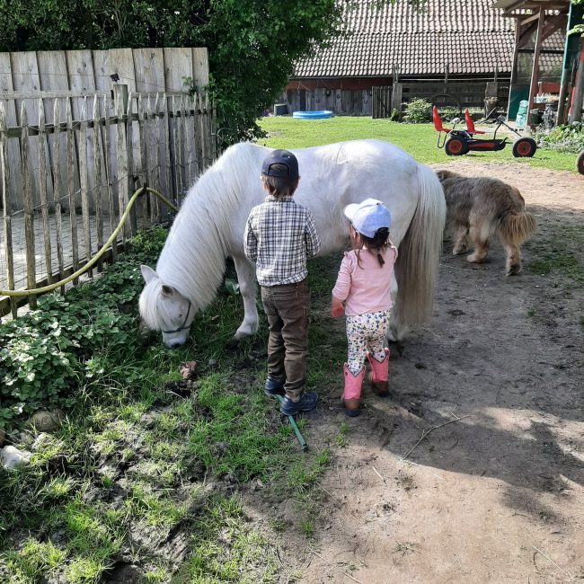 Spannende Erlebnisse erwarten die Kinder auf dem Auerhof in Hermannsburg