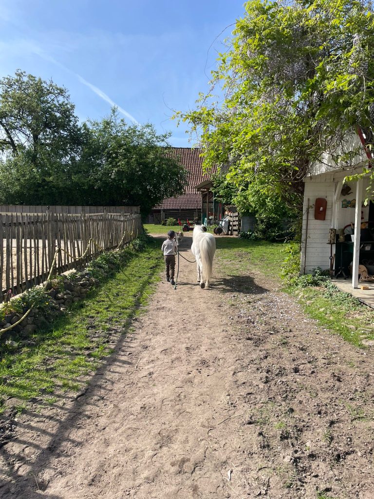 Selbständig lernen die Kinder den Umgang mit den Ponys