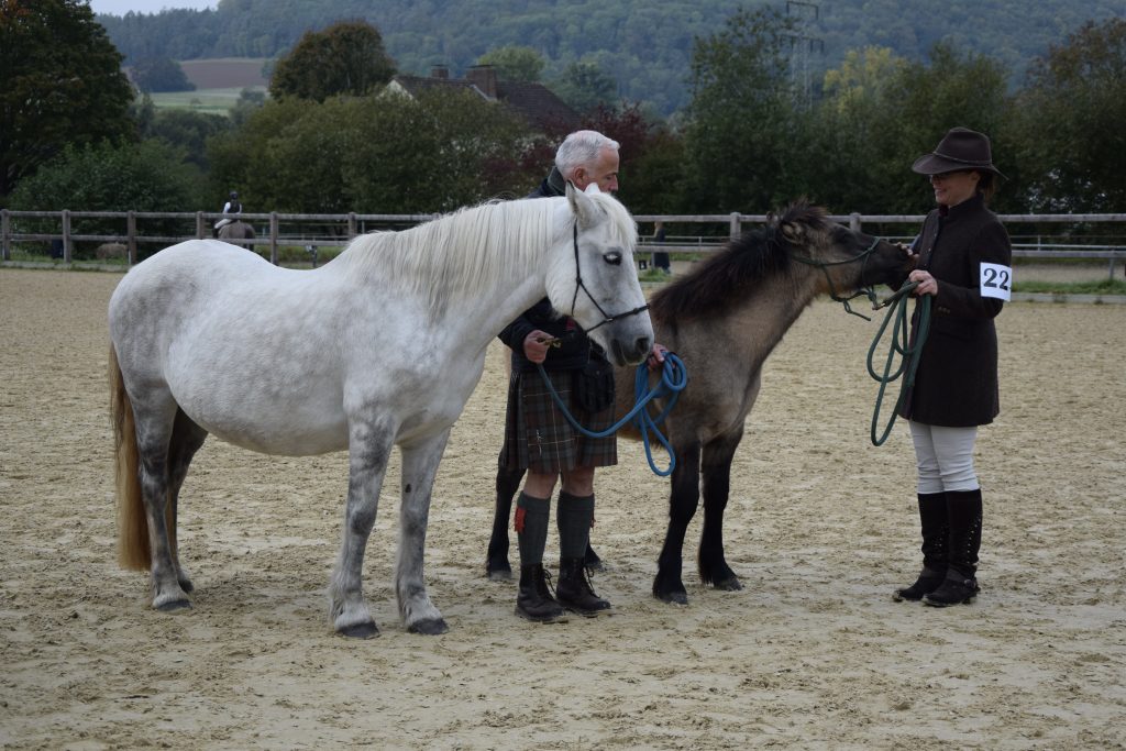 5D0BA5AD-8398-4627-953A-1E5689A2287F_1_201_a