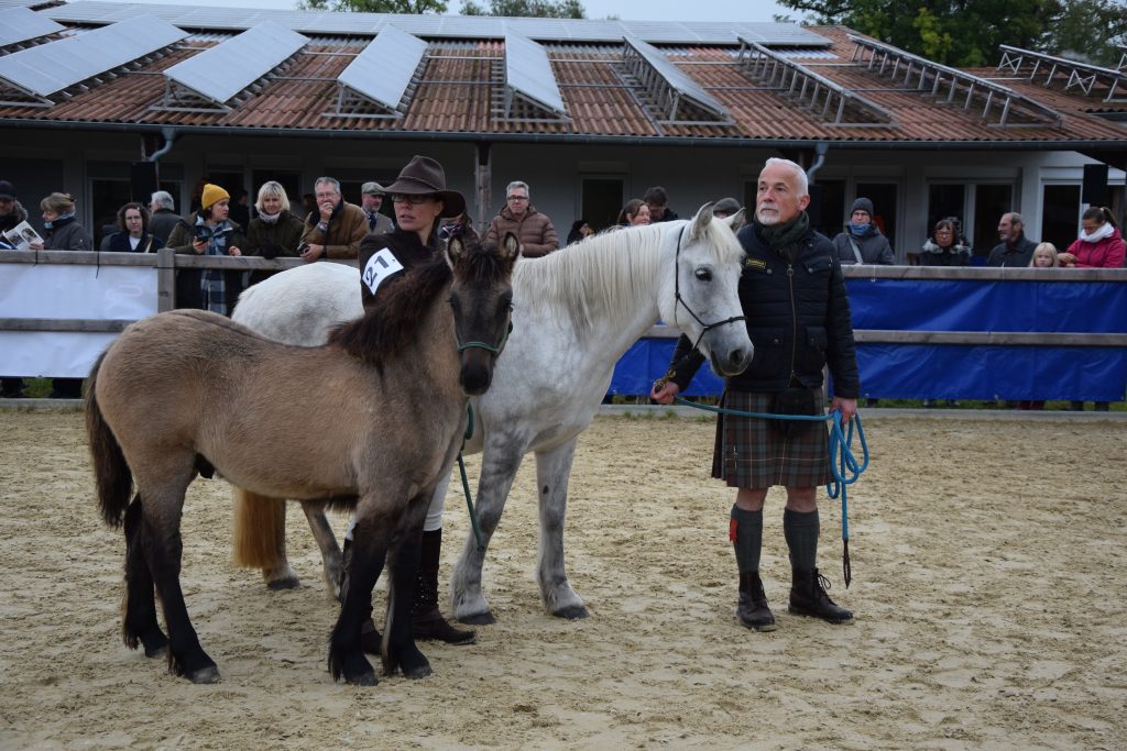 FE66D816-B919-4D72-9EB8-FC57246F522D