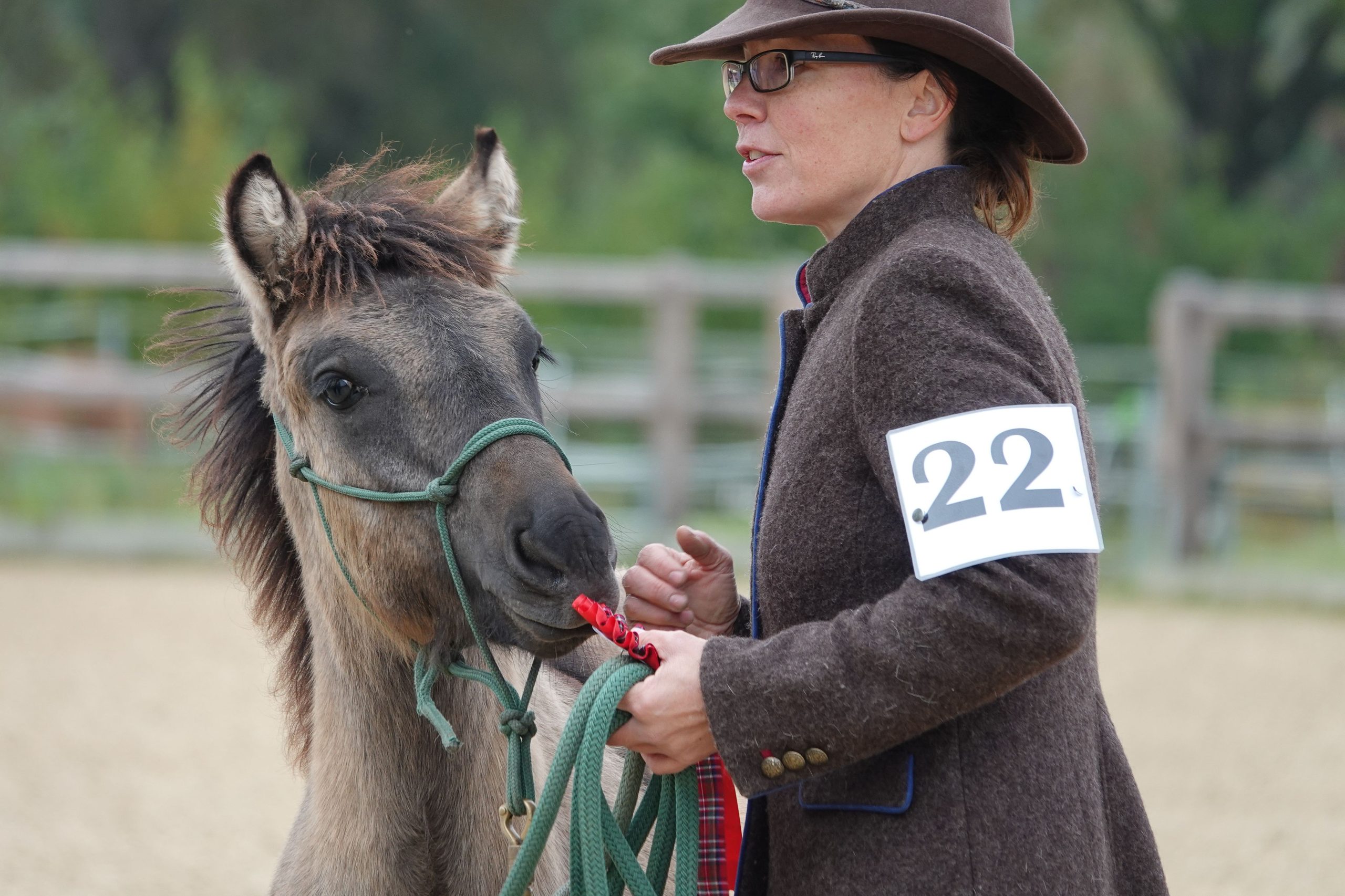 Mehr über den Artikel erfahren Breed Show 2024