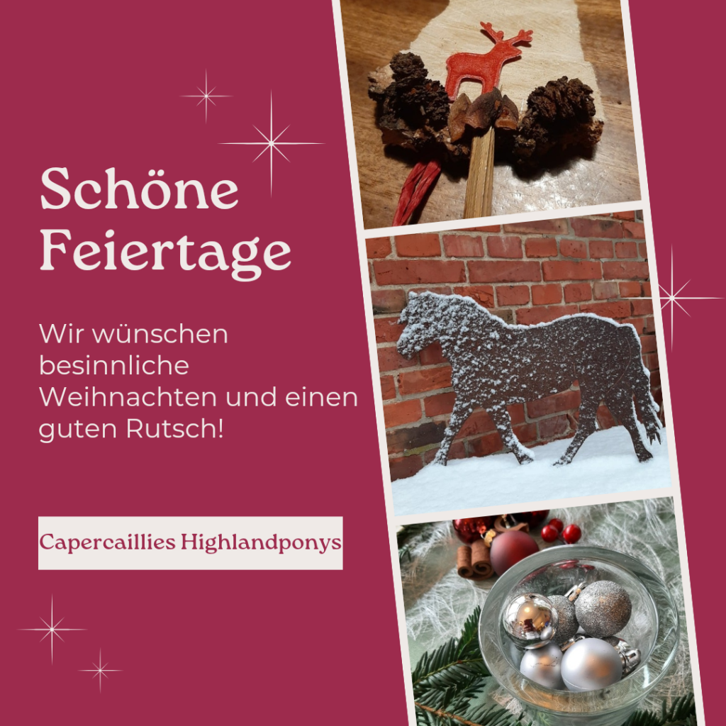 Schöne Weihnachten_20241223_204035_0000