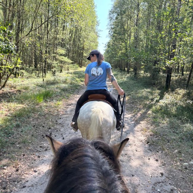 Auf einem Ausritt in die Lüneburger Heide mit den Capercaillie Ponys.