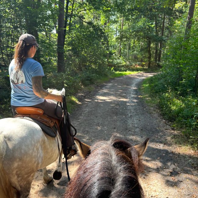 capercaillies_kurse00006