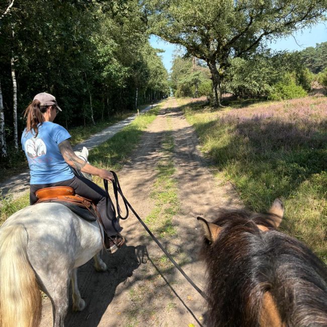 capercaillies_kurse00007