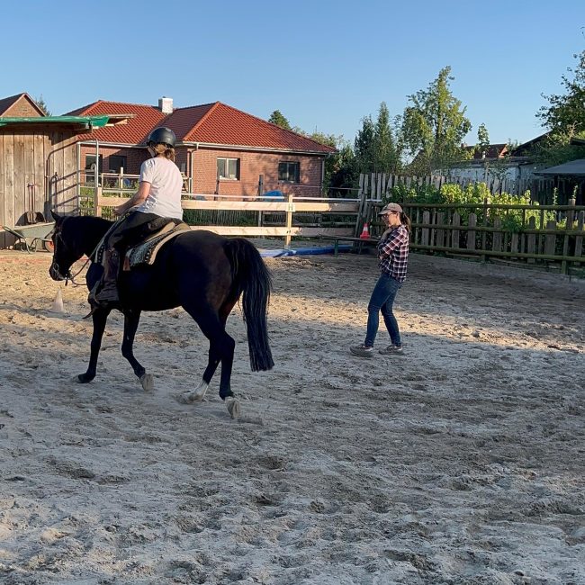 capercaillies_kurse00013