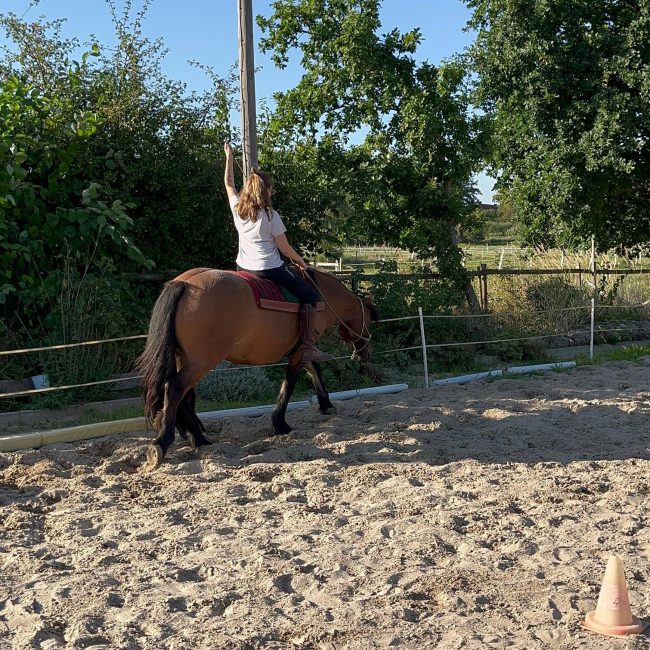 capercaillies_kurse00021