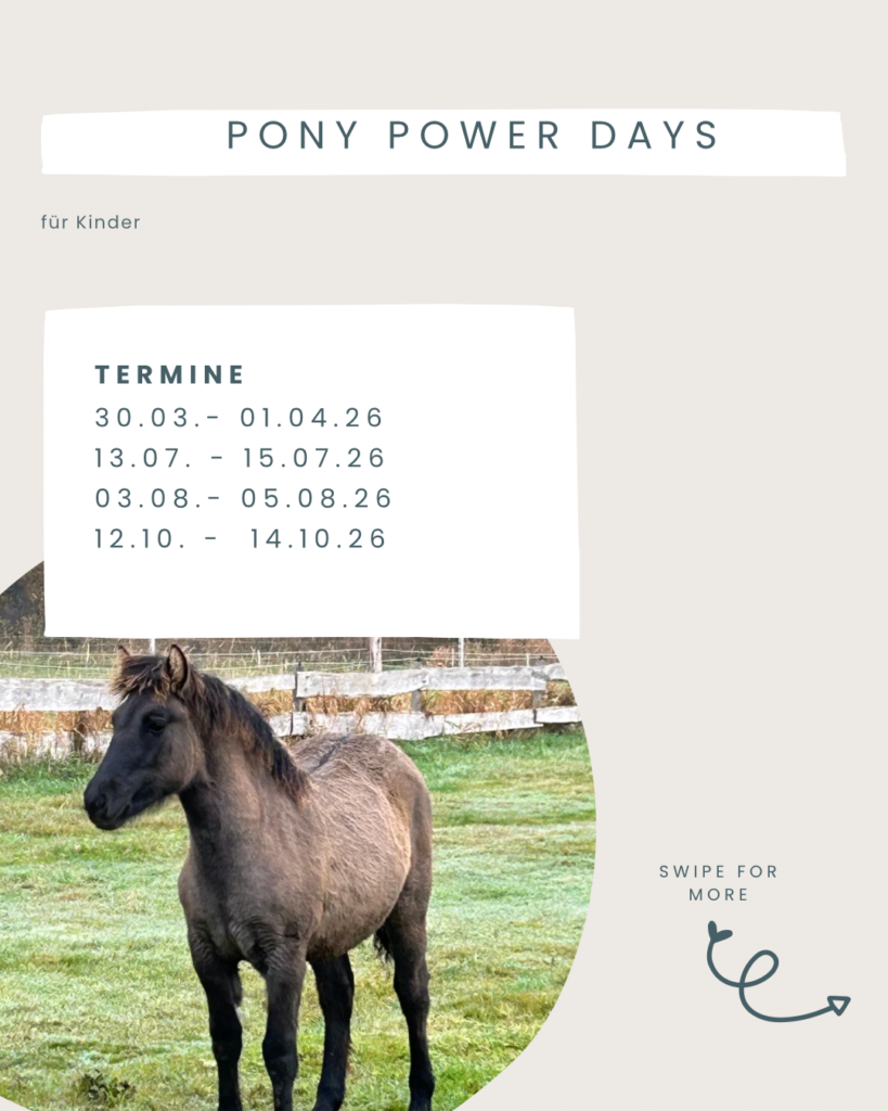 blue and beige organic recipe instagram post - 2