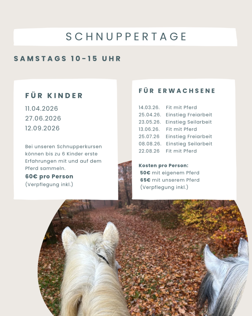 blue and beige organic recipe instagram post - 4