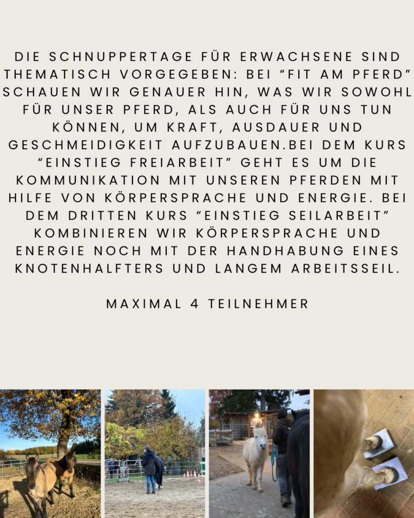 blue and beige organic recipe instagram post - 5