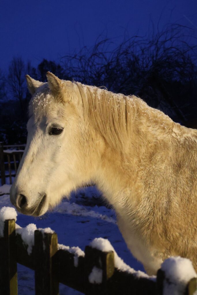 5108cd5c-81c8-423d-ace1-97787674ca77